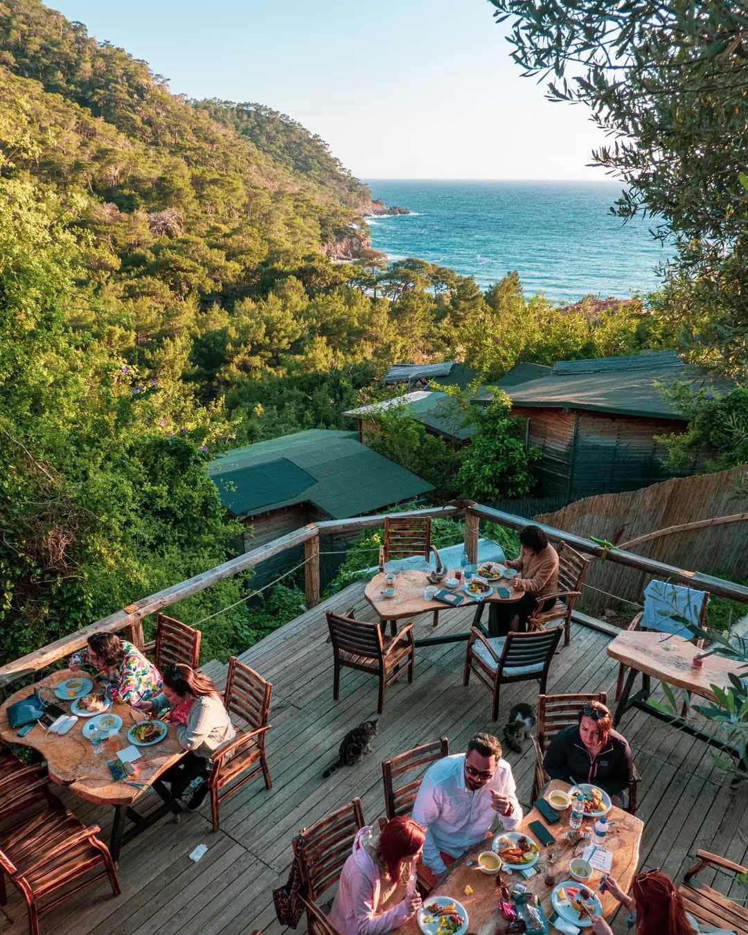 Kaplumbaga - Image 1