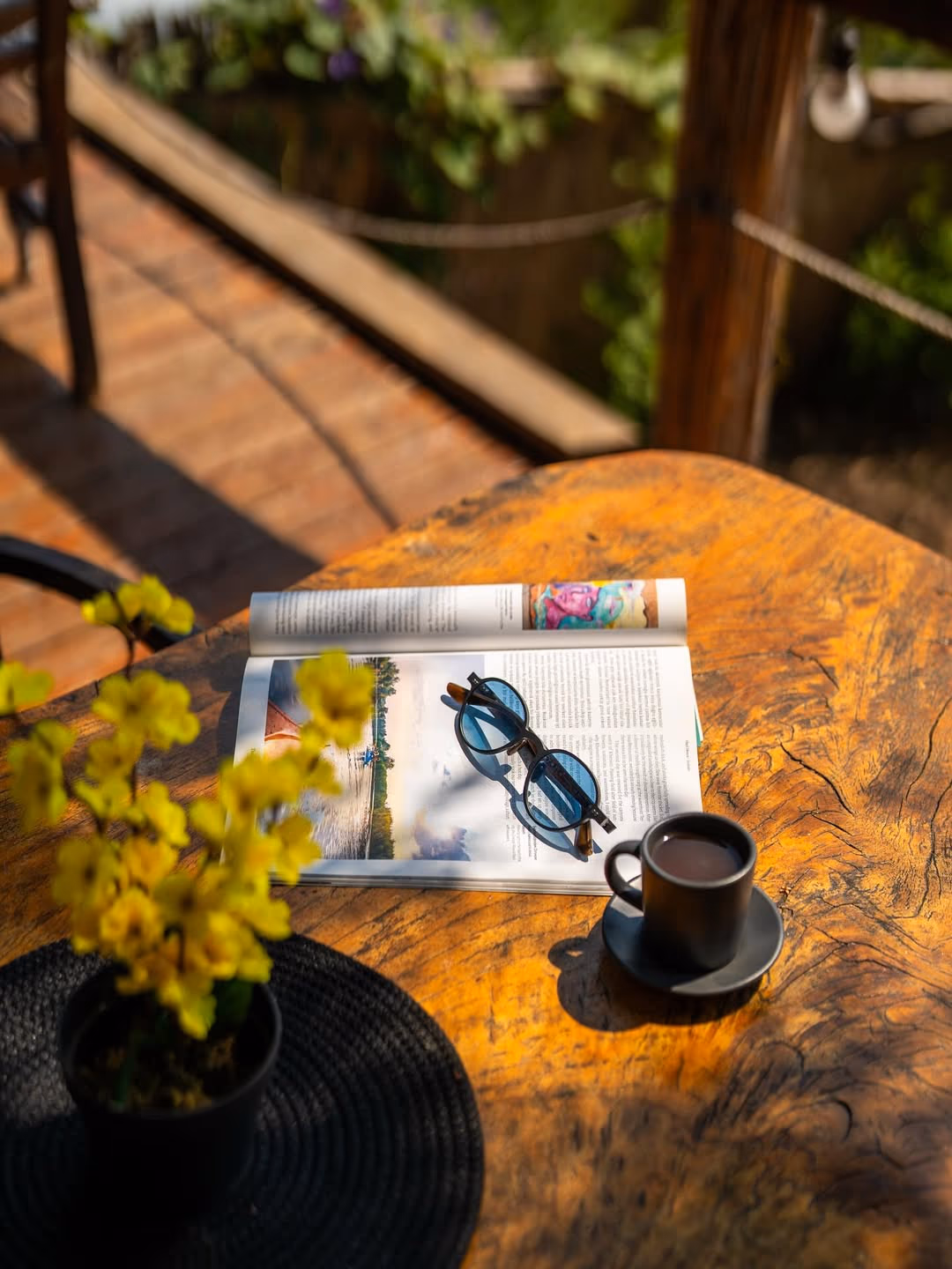 Kaplumbaga - Image 2