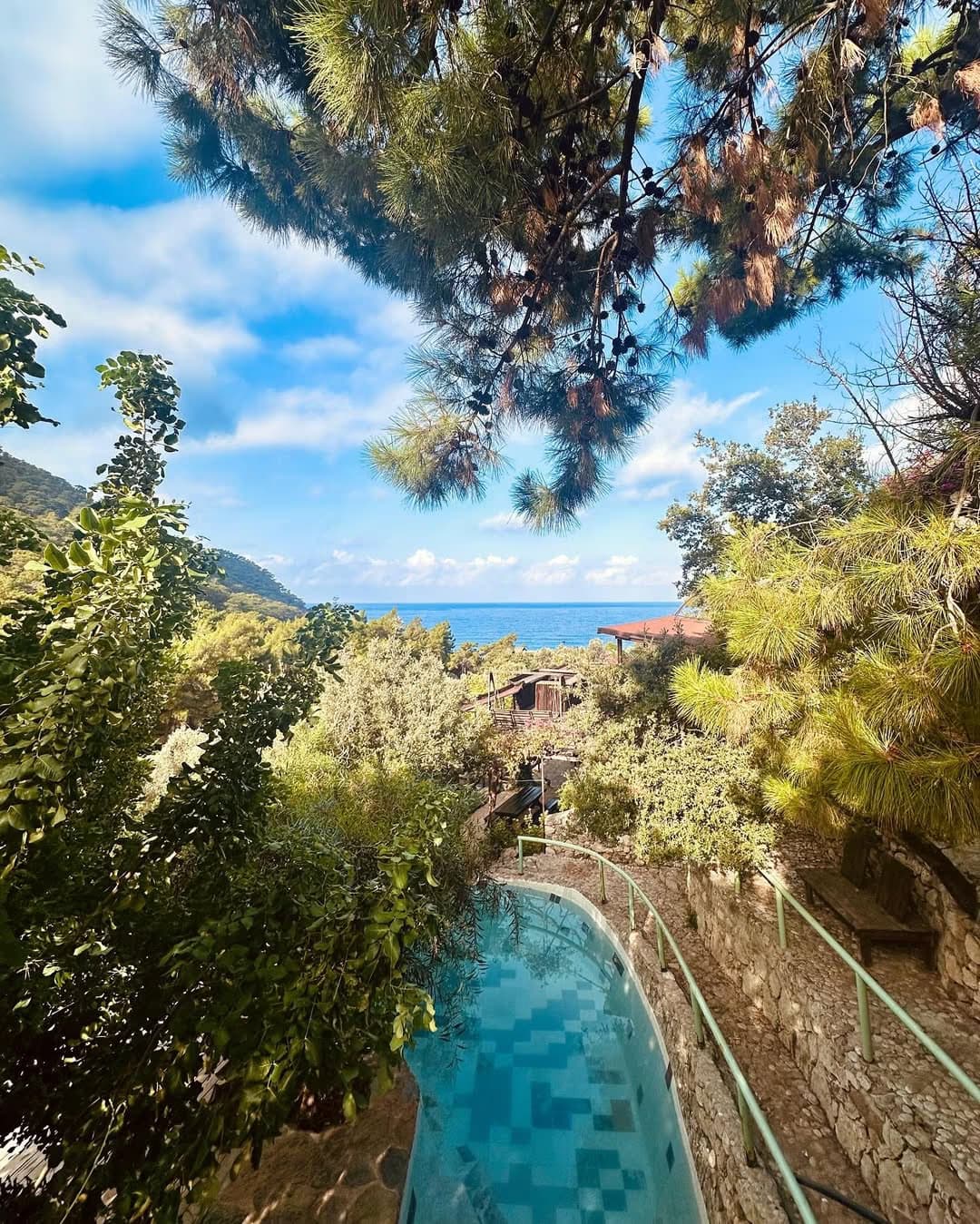 Natural Life - Image 1