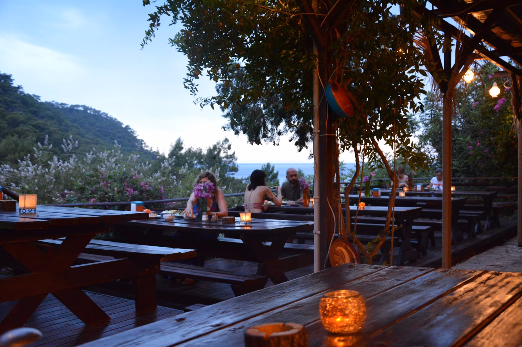 Natural Life - Image 3