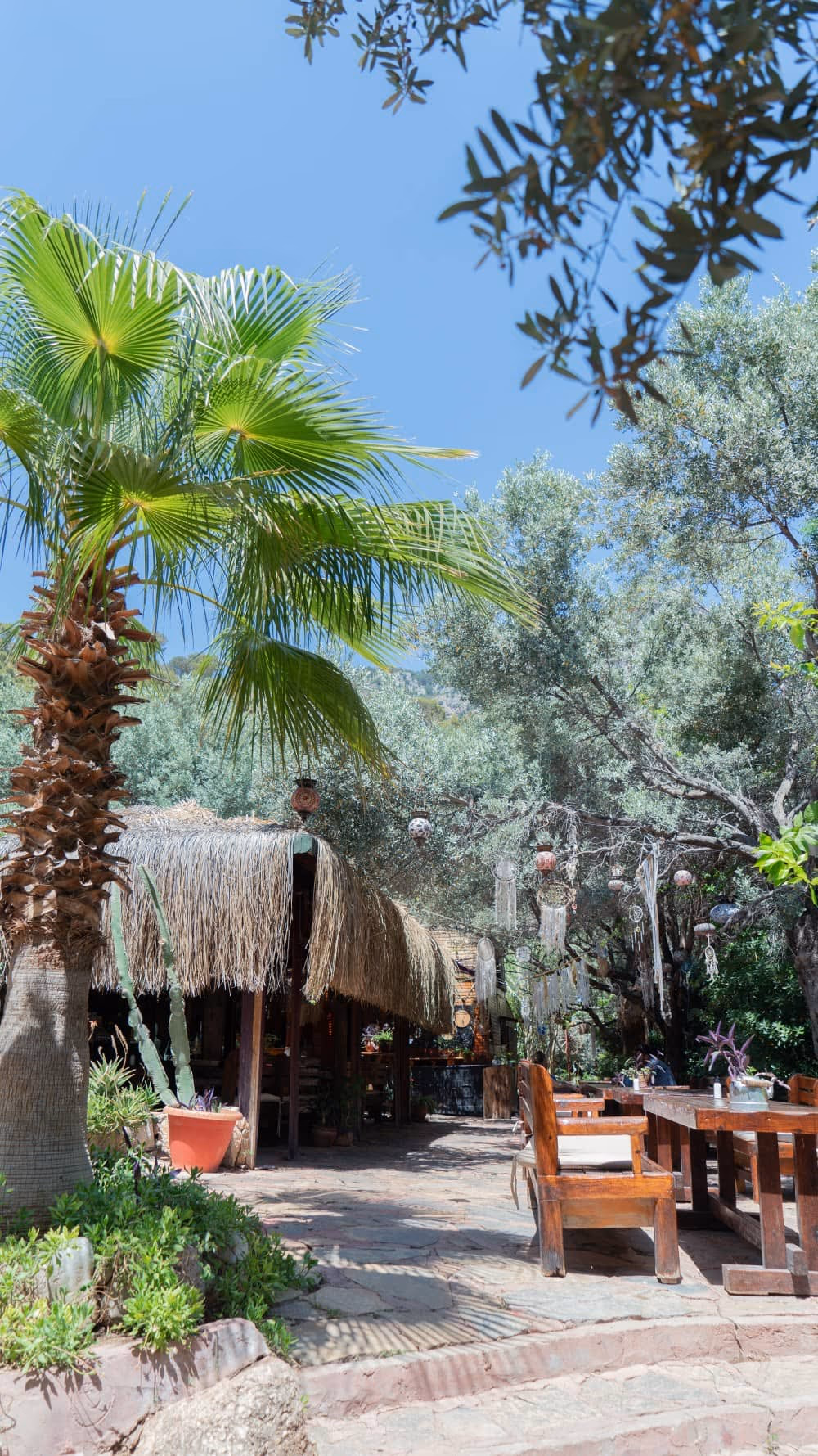 Shambala - Image 4