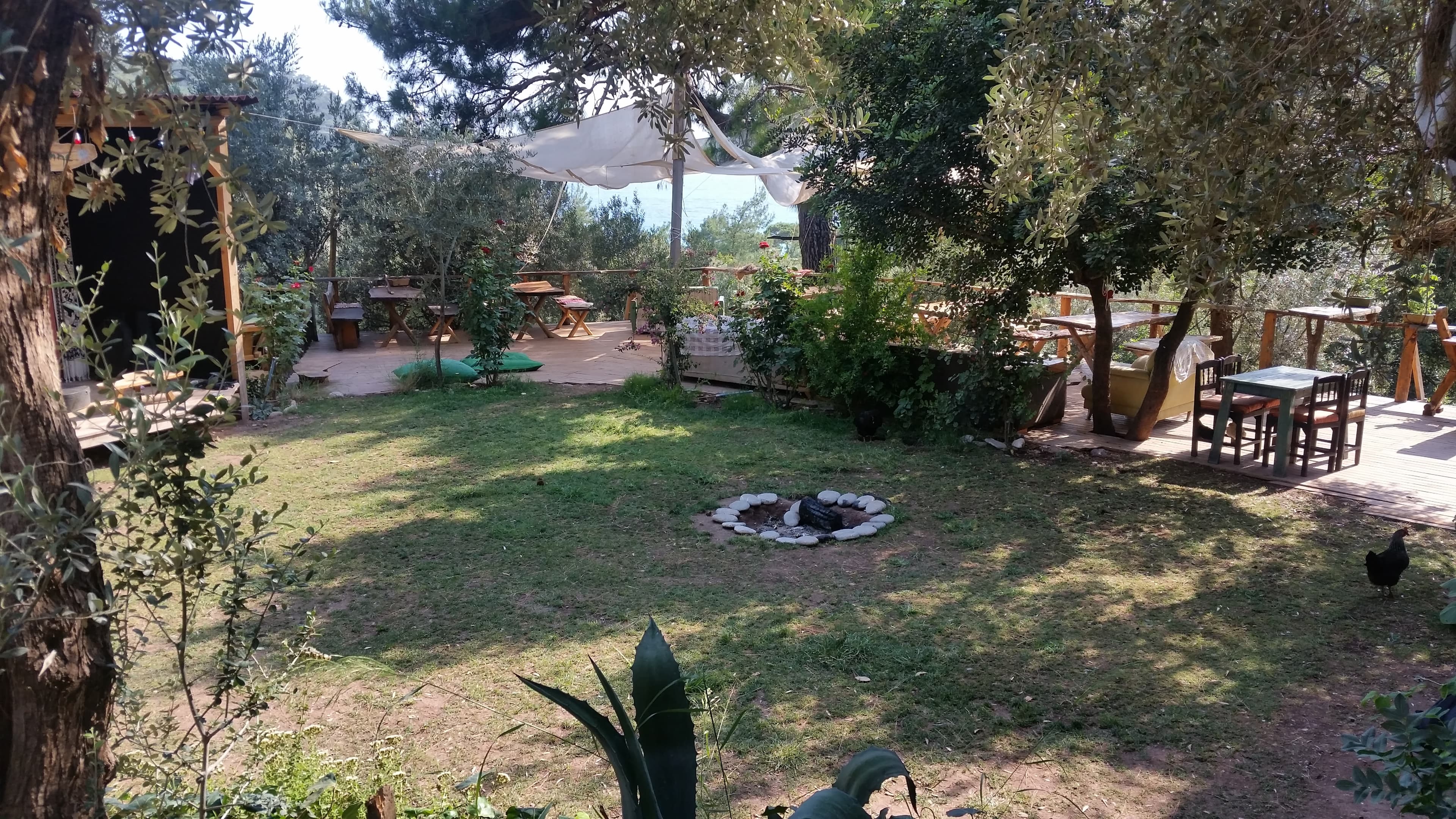 Yerdeniz - Image 3